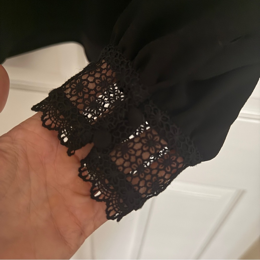 Sezane Black Lace Blouse - Picture 12 of 12